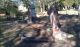 Photo of headstones/thumb_John McLennan & Mary Laidlaw grave site Rookwood